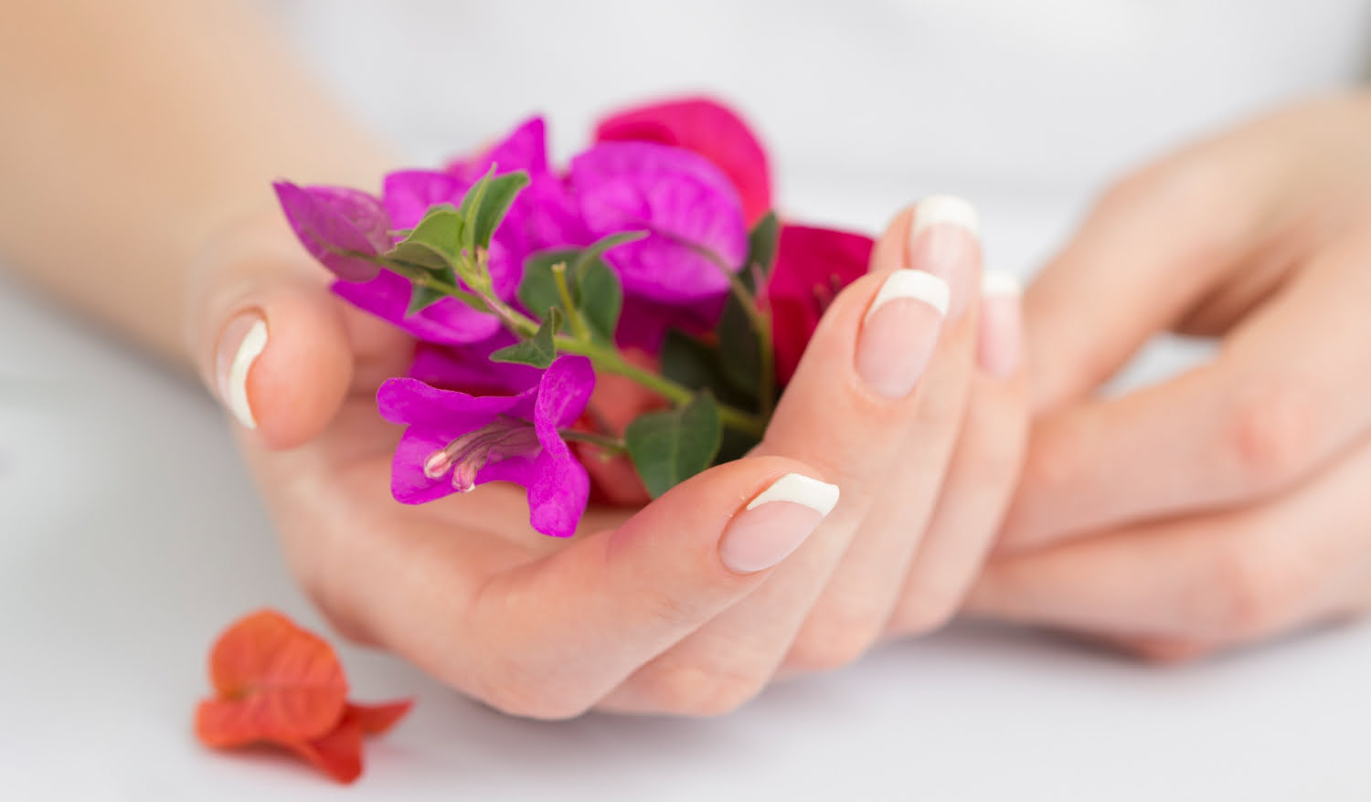 Beginner’s Guide to Manicure Kits: Essentials and Top 5 GERmaniküre Sets