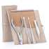 4 Piece Pedicure Set: Nail Nipper, Pointed Splinter Tweezer, Sapphire File, and Nail Cleaner image #12